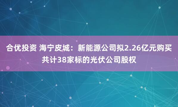 合优投资 海宁皮城：新能源公司拟2.26亿元购买共计38家标的光伏公司股权
