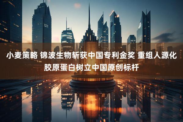 小麦策略 锦波生物斩获中国专利金奖 重组人源化胶原蛋白树立中国原创标杆